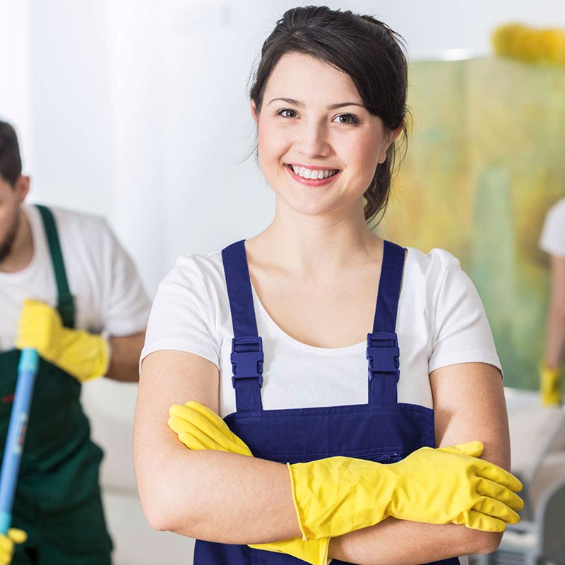 Professional home cleaners